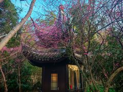 -木子山庄·安徽省老字号·中国炖锅宴