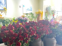 -花落谁家(景瑞曦城店)