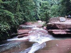 -青峰峡国家森林公园