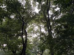 -紫金山天文台