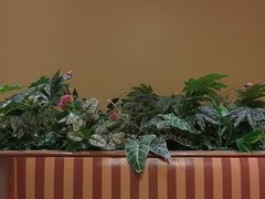 -菲滋意式餐厅(萧山市心店)