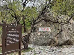 -阳台山自然风景区