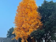 -西安市广仁寺