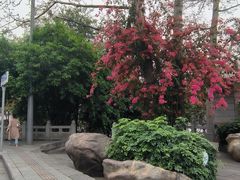 -金龙寨(龙城路店)