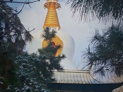 -护国法轮寺