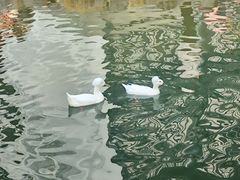-镇江中国醋文化博物馆