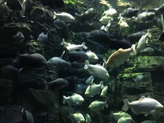 -成都浩海立方海洋公园