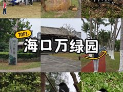 -万绿园