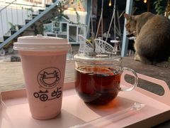 -喵屿·大理花园猫咖