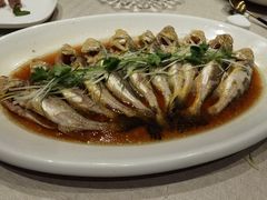 -品悦酒店(三林古镇店)
