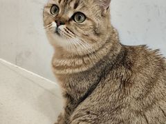 -共舞时光猫咖·狗咖(新街口店)