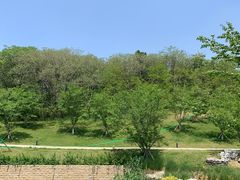 -羊山湖公园