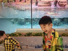 -帝企鹅自助餐厅•儿童岛•真企鹅(长隆企鹅酒店)