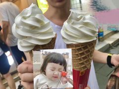 -蜜雪冰城(南柳店)