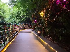-宝莱纳啤酒花园餐厅PAULANER BRAUHAUS Nanjing(广州路店)