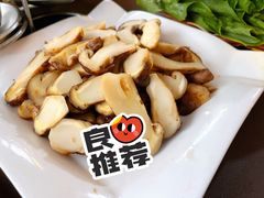 -蘑统田下·野生菌火锅