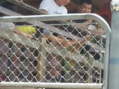 -石家庄市动物园