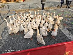 -辛庄国际文化艺术区