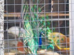 -雪山彩虹谷景区