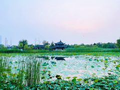 -水西公园