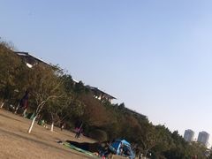 -艾溪湖湿地公园