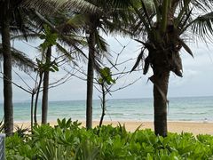 -味餐厅·海鲜·火锅·自助餐