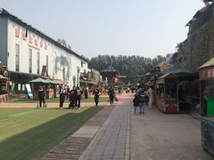 -呀路古热带植物园