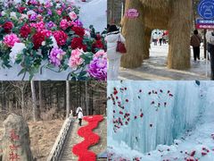 -洛阳白云山景区