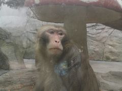 -泉州海丝野生动物世界