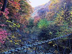 -龙道沟景区