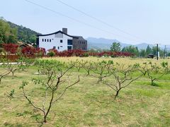 -山水一号·中餐厅