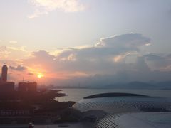 -深圳湾木棉花酒店