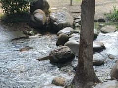-新洲生态园