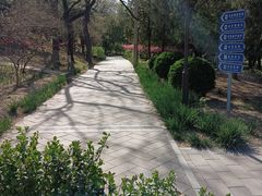 -元大都城垣遗址公园