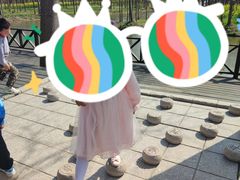 -合肥滨湖国家森林公园