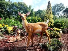 -上海共青森林公园