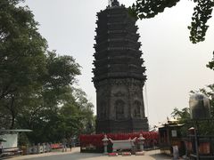 -高尔山公园