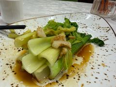 -常胜鲍鱼(吉大店)
