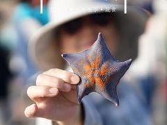-长岛南北长山旅游景区