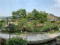 -广州神农草堂中医药博物馆