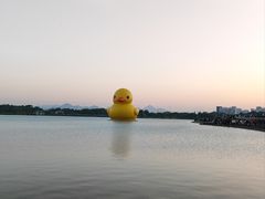 -深圳湾公园(南山区)