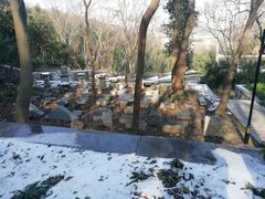 -镇江市南山风景名胜区竹林景区