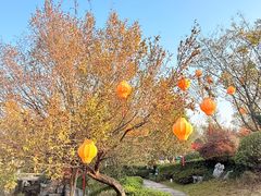 -雅达·阳羡溪山小镇中心