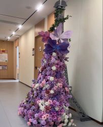 -上海伊莱美医疗美容医院
