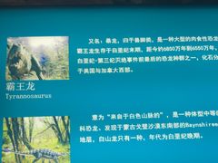 -世界恐龙谷景区