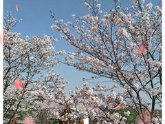 -闵行体育公园(七宝镇)