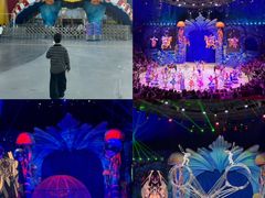 -海合安武汉极地海洋公园