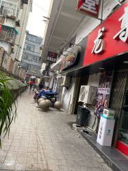 -龙尊堂纹身