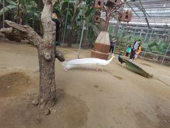-呀路古热带植物园