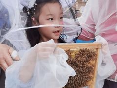 -宁波九龙湖开元度假村